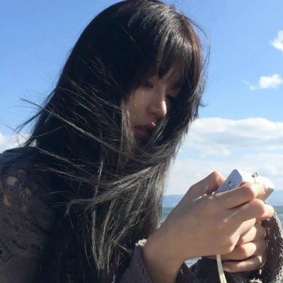双生赤狐海报